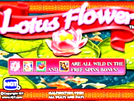 $2120 no deposit bonus code at Mobile Bet Casino