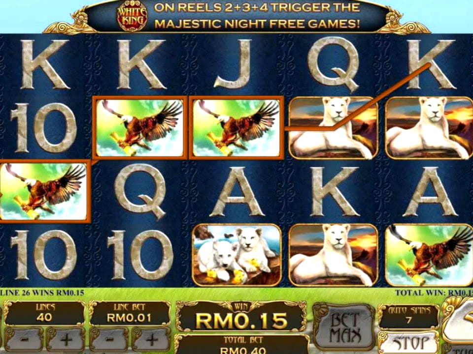 EURO 795 Daily freeroll slot tournament at King Billy Casino