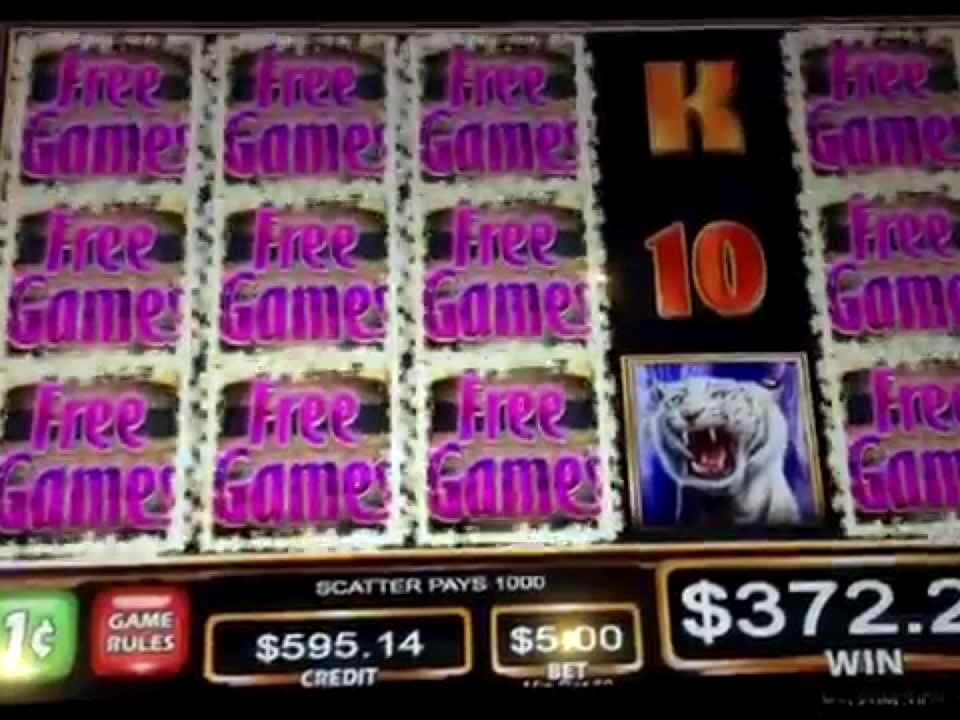 EUR 285 FREE CHIP at Dunder Casino