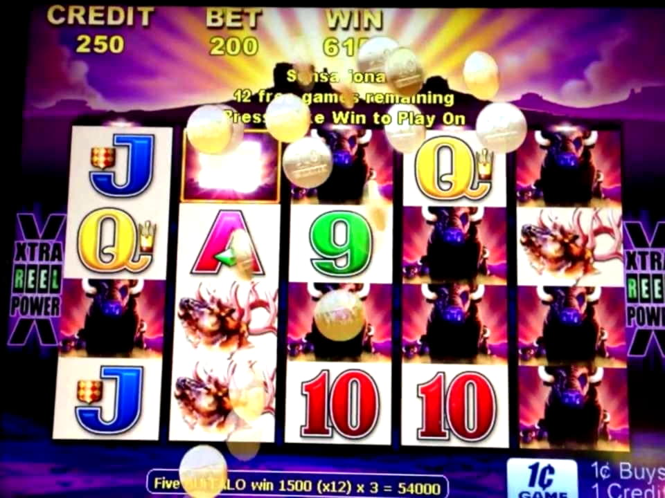$310 No Deposit Bonus Casino at Malina Casino
