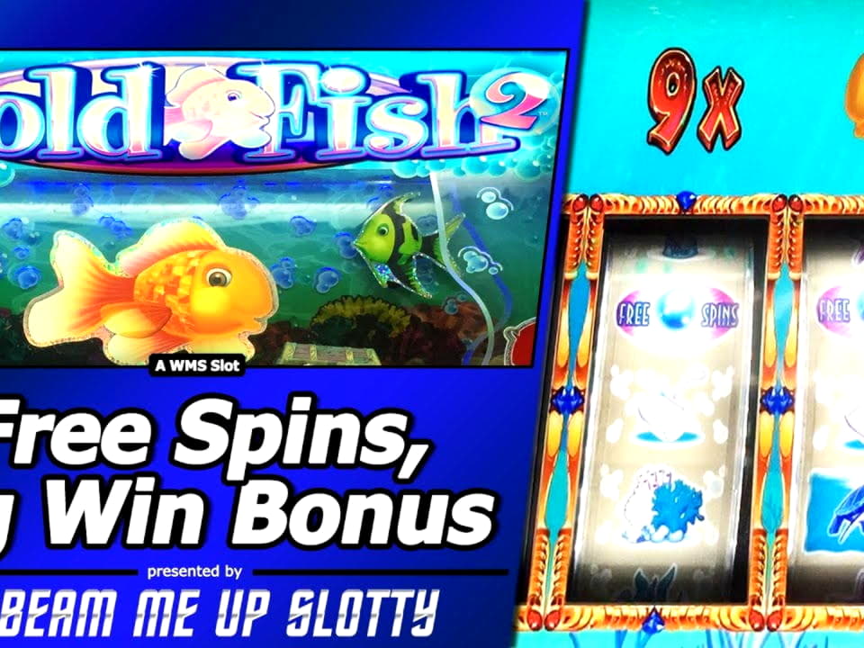 310% Match bonus casino at Malina Casino