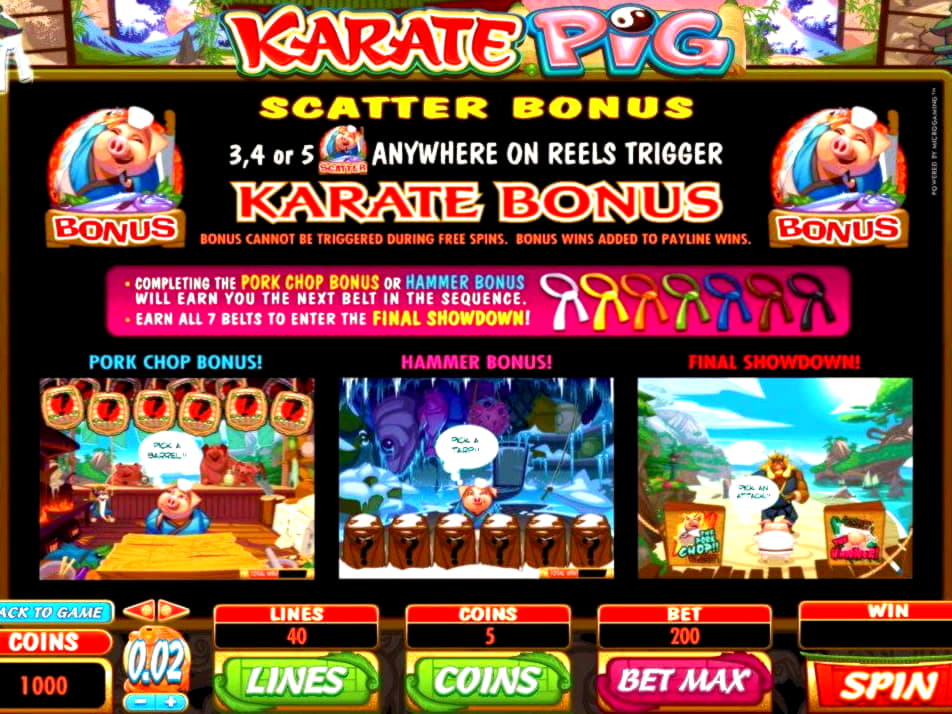 EURO 325 Free casino chip at Karamba Casino