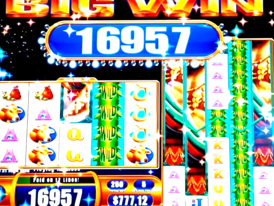 ?640 Free Casino Tournament at Reeltastic Casino