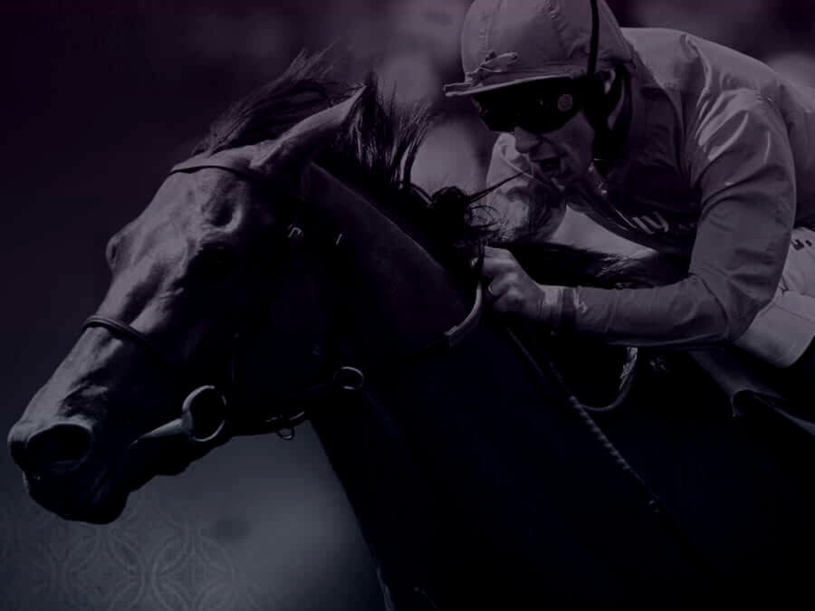 885% Match bonus at Dream Dubai Casino