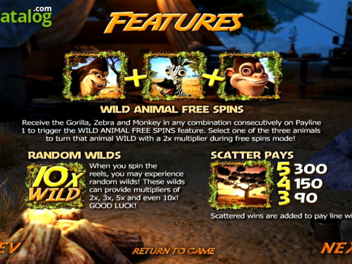 $620 Casino Tournament at Jelly Bean Casino