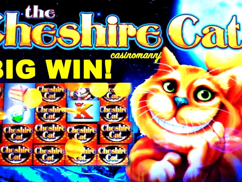 Eur 495 FREE Casino Chip at YoYo Casino