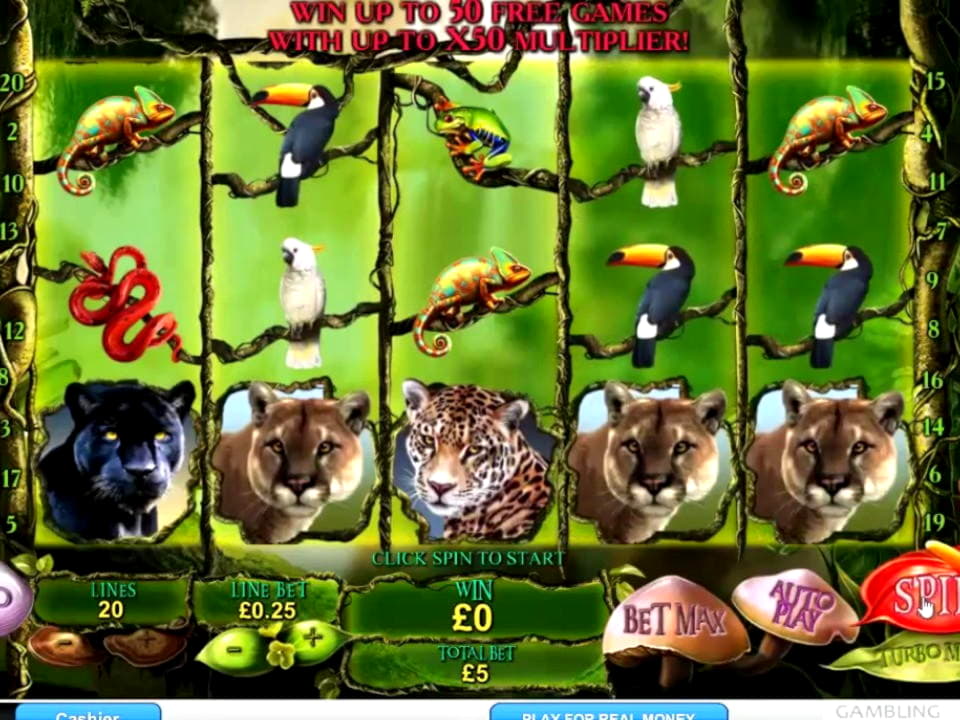 30 Free spins casino at Reeltastic Casino