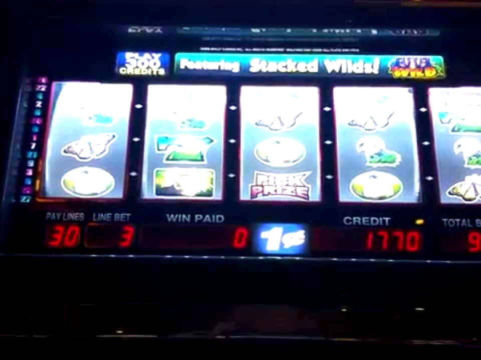 Eur 125 FREE CHIP at Casimba Casino
