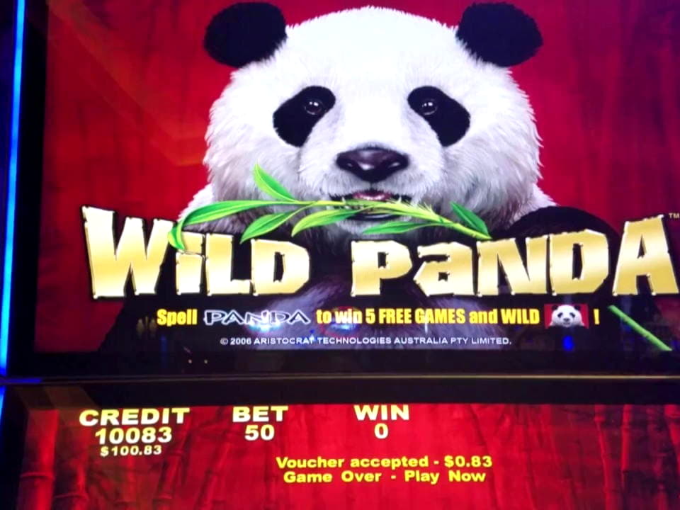 525% Match at a Casino at Yako Casino