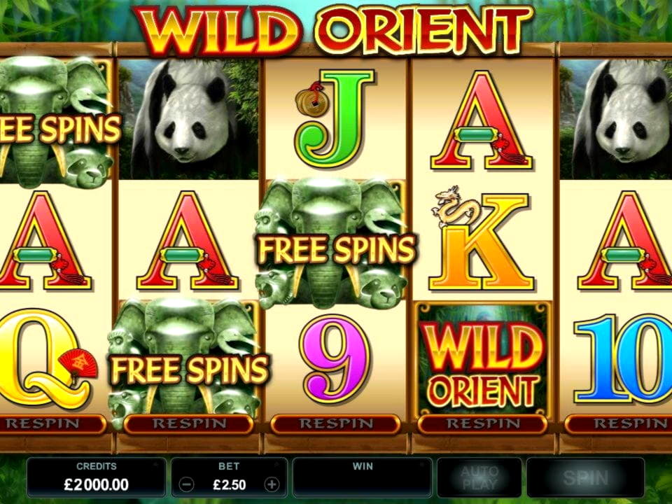 EUR 3625 No deposit casino bonus at Cashmio Casino