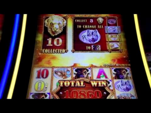 ?$165 Free Cash at CasiPlay Casino