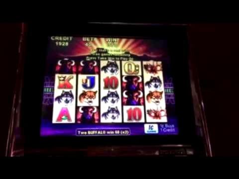40 Free casino spins at Cashmio Casino