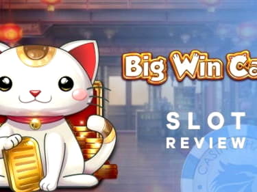 ?$4035 No Deposit Casino Bonus at YoYo Casino