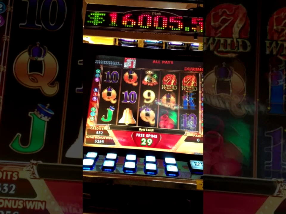 10 free spins no deposit casino at Malina Casino