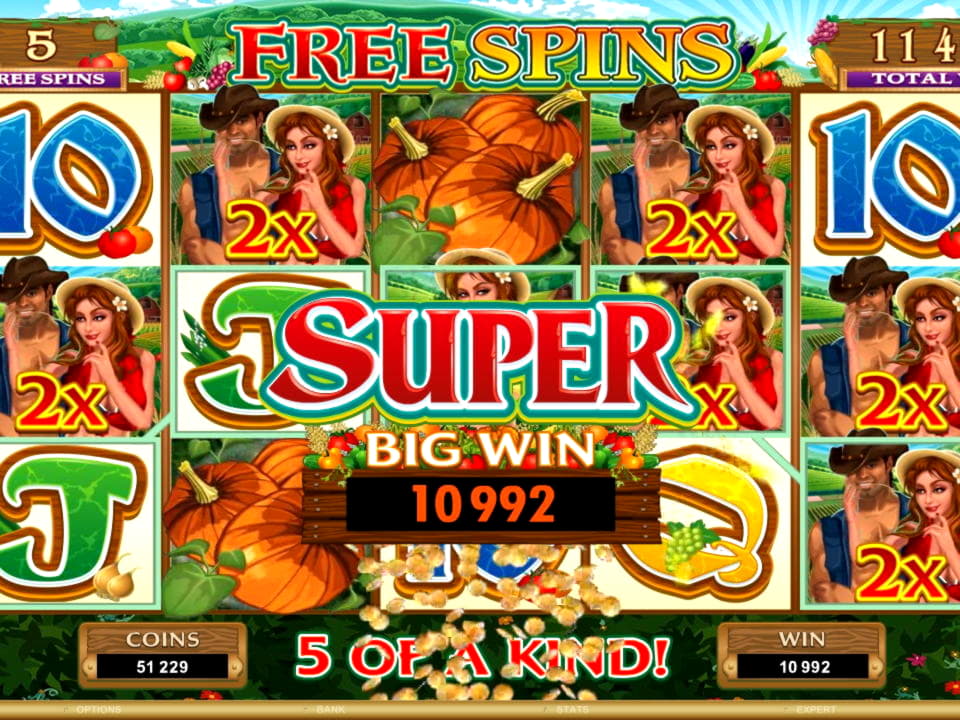 55 Free Spins right now at Winorama Casino