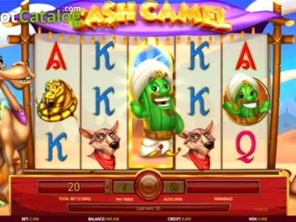 155 Free spins no deposit at Reeltastic Casino