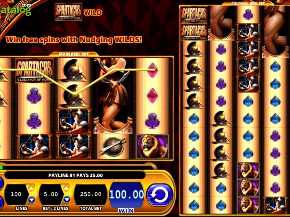 305% No Rules Bonus! at Cashmio Casino
