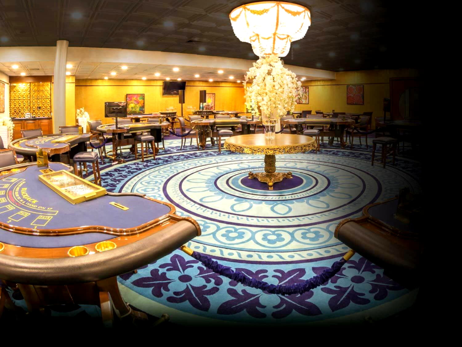 325% Best signup bonus casino at Cashmio Casino