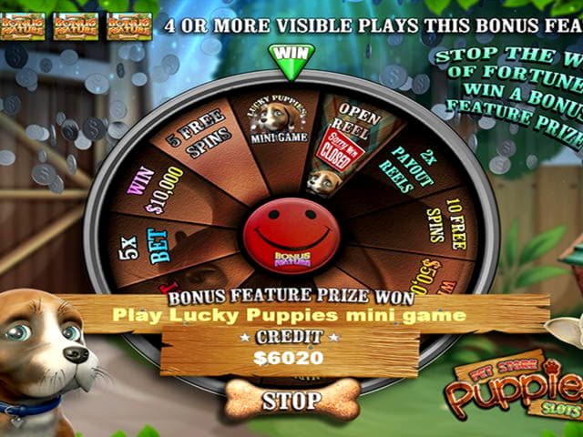 EURO 505 Free casino chip at Cashmio Casino