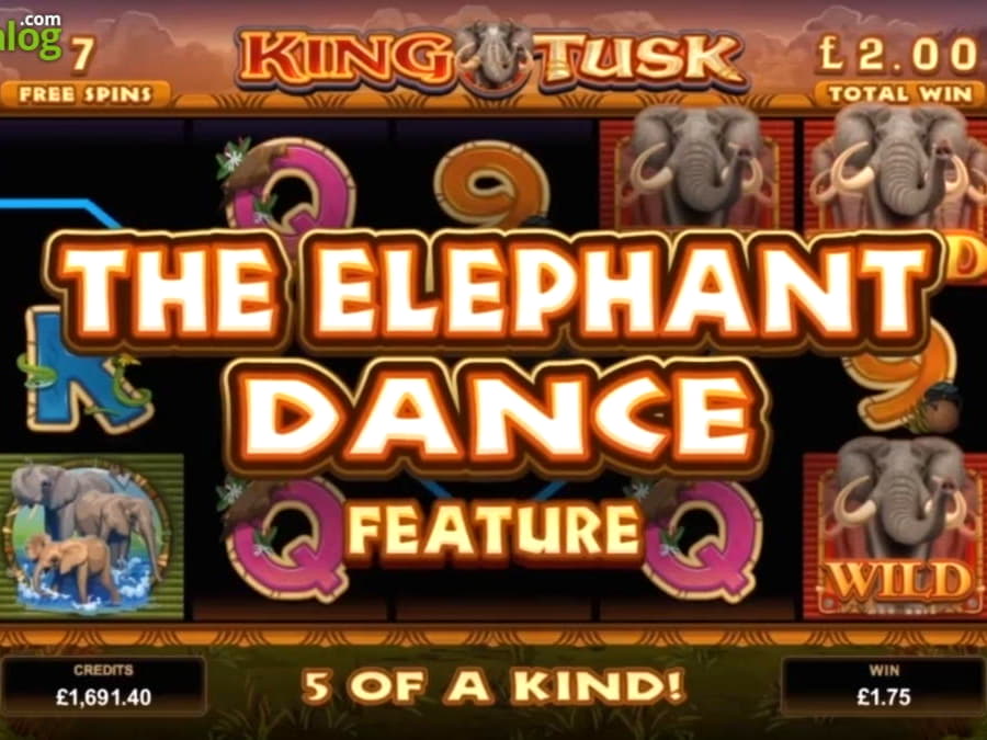 $4955 No Deposit Bonus at Karamba Casino