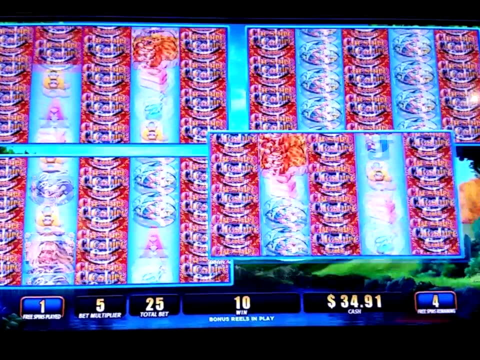 835% Signup Casino Bonus at Trada Casino