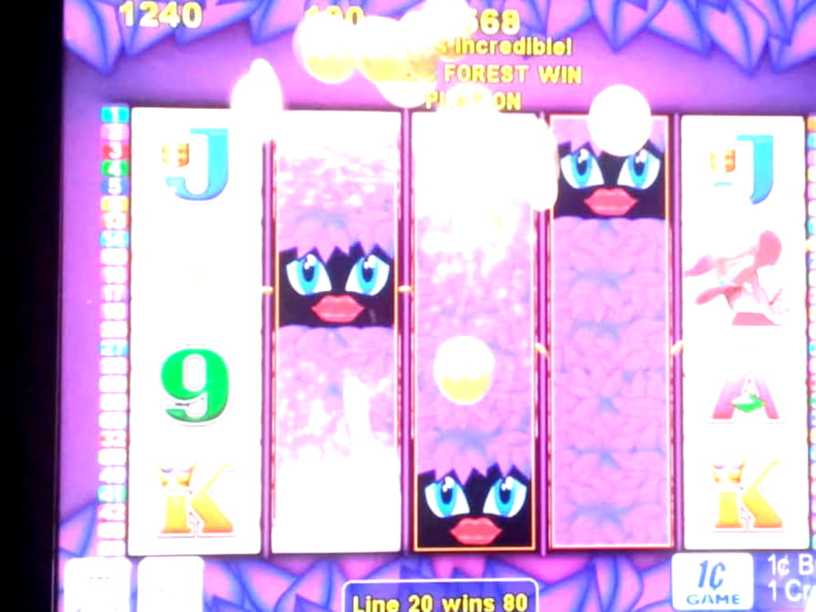 100 Free Spins at Yako Casino