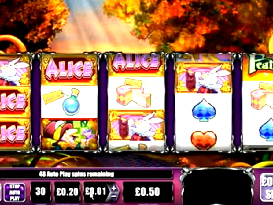 655% No Rules Bonus! at Omni Casino