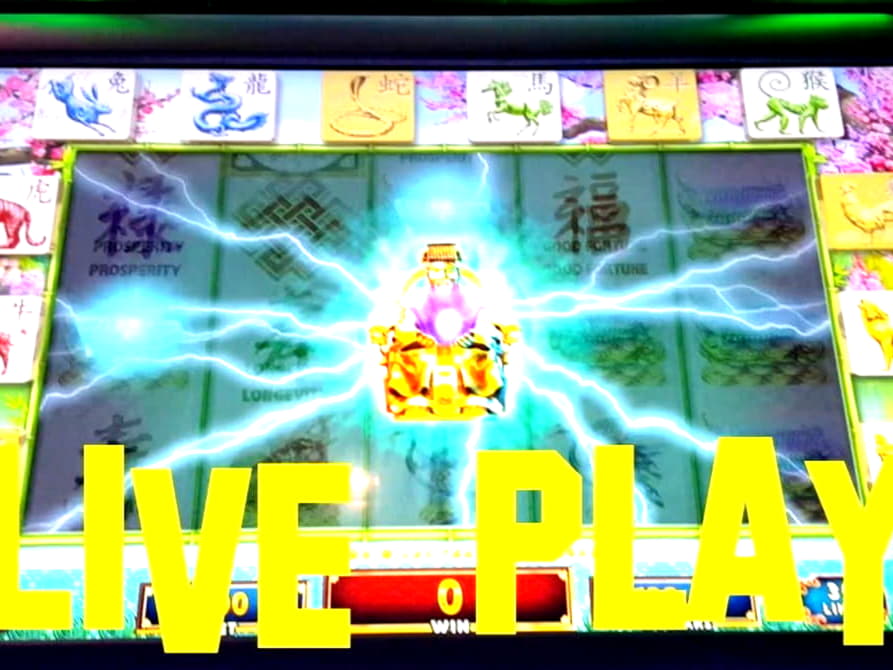 210 Loyalty Free Spins! at Gate777 Casino