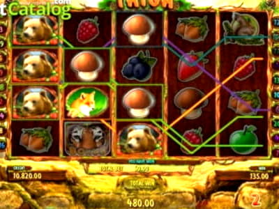 185 FREE SPINS at Rizk Casino