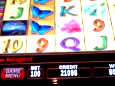 Eur 925 Casino tournaments freeroll at Rizk Casino
