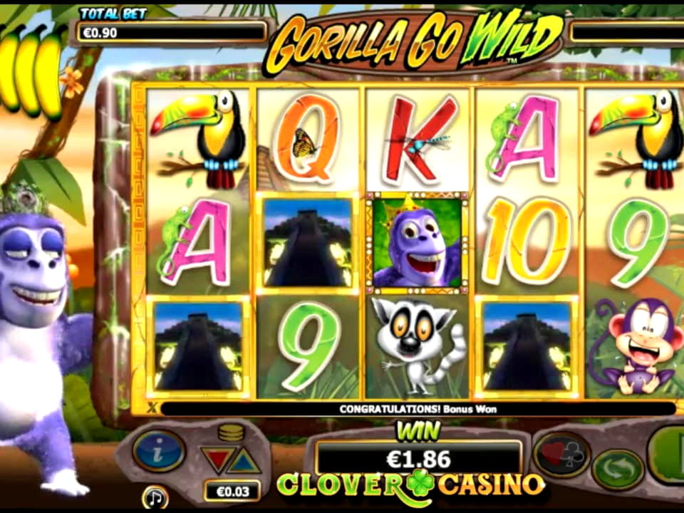 880% Signup casino bonus at Dream Dubai Casino
