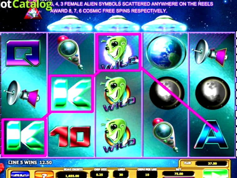 
</p>
<div class='heateorSssClear'></div><div  class='heateor_sss_sharing_container heateor_sss_horizontal_sharing' data-heateor-sss-href='https://newzealandcasinobonuses.com/coupon/145-free-casino-tournament-at-yoyo-casin-58018/'><div class='heateor_sss_sharing_title' style=