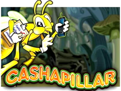 240 Free spins no deposit at Winorama Casino