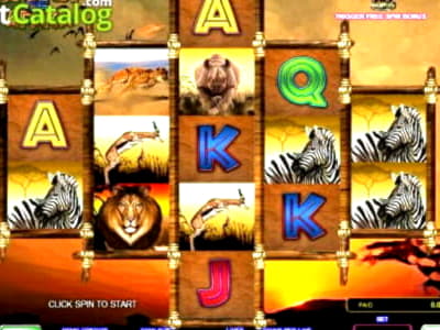 Eur 760 Daily freeroll slot tournament at bWin Casino