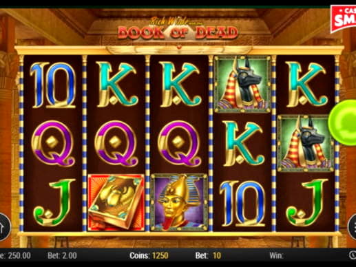 EURO 550 Casino chip at Wunderino Casino