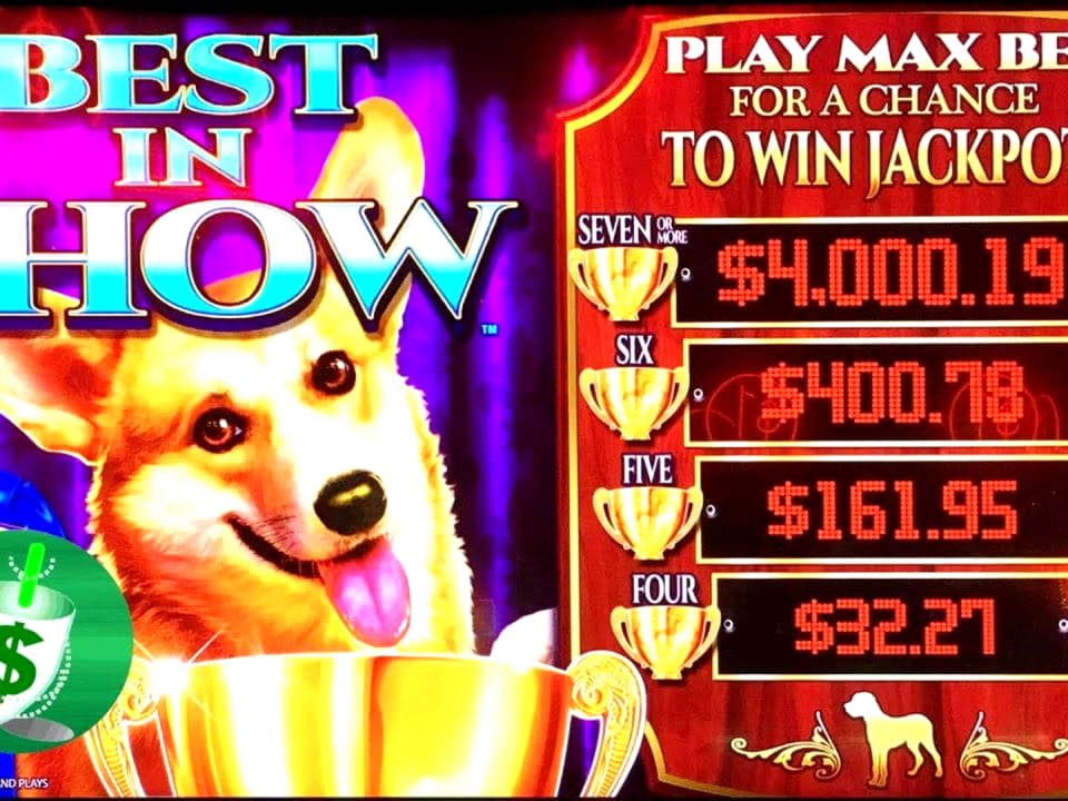 $545 FREE CASINO CHIP at Rizk Casino