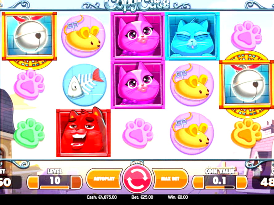 765% Match Bonus Casino at Malina Casino
