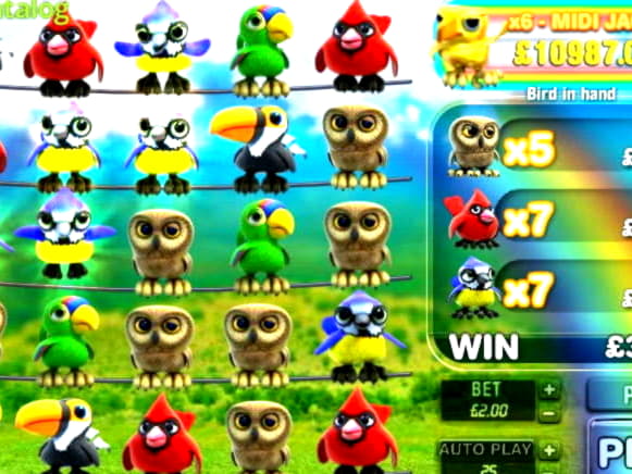 EURO 245 free casino chip at YoYo Casino