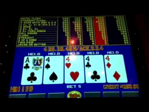 75 free spins casino at Wunderino Casino