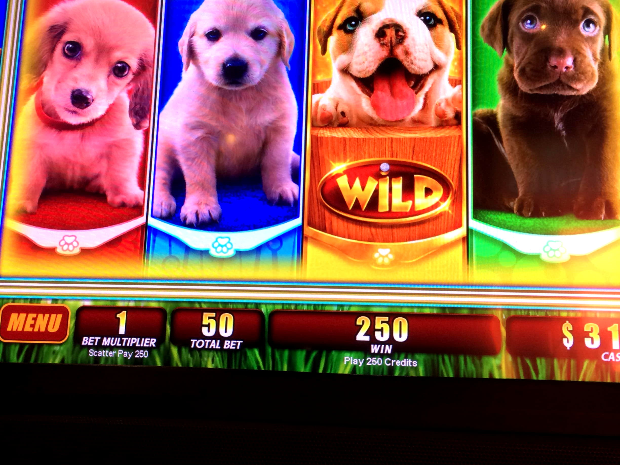 77 Trial Spins at Party Casino