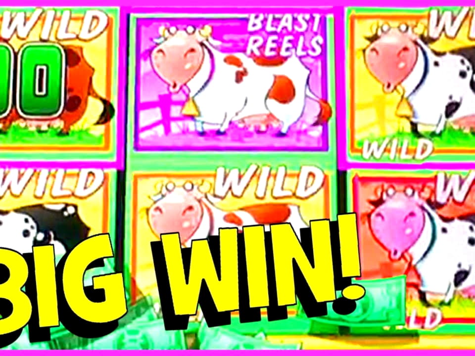 255% Welcome Bonus at Casino com