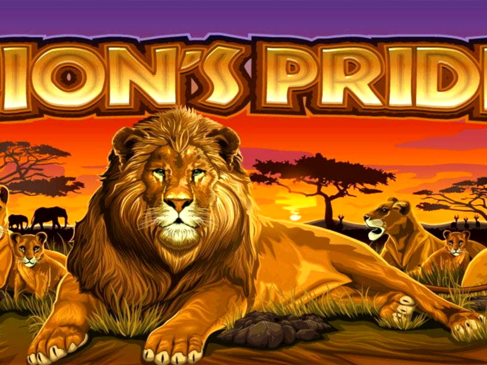 825% Signup Casino Bonus at Mrgreen Casino