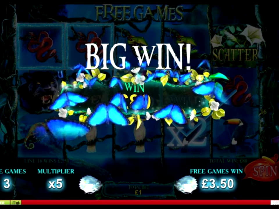 $370 No deposit bonus casino at CasiPlay Casino