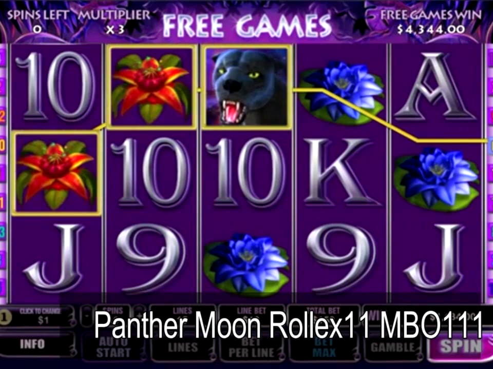 105 Loyalty Free Spins! at CasiPlay Casino