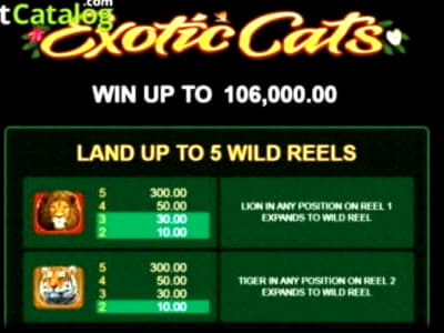 ?180 Daily freeroll slot tournament at YoYo Casino