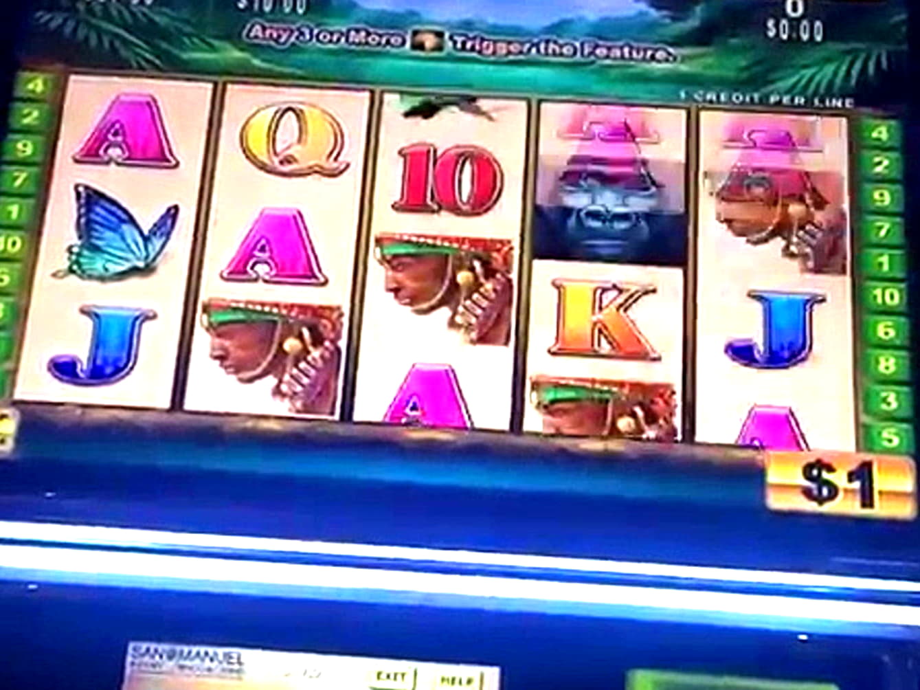 120% Match Bonus Casino at Malina Casino