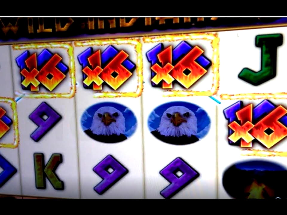 Eur 20 Daily freeroll slot tournament at Casino com