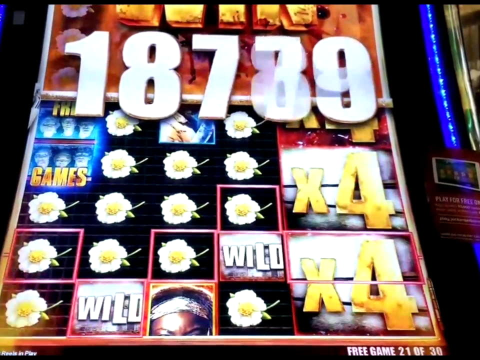 ?3030 No Deposit Bonus Casino at YoYo Casino