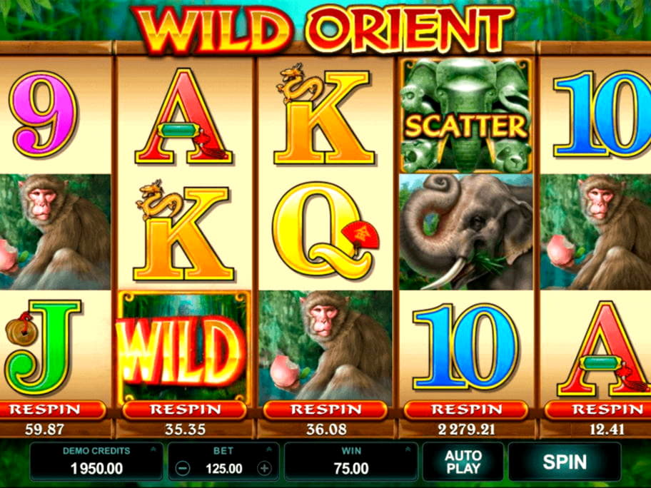 $930 Casino tournaments freeroll at Rizk Casino