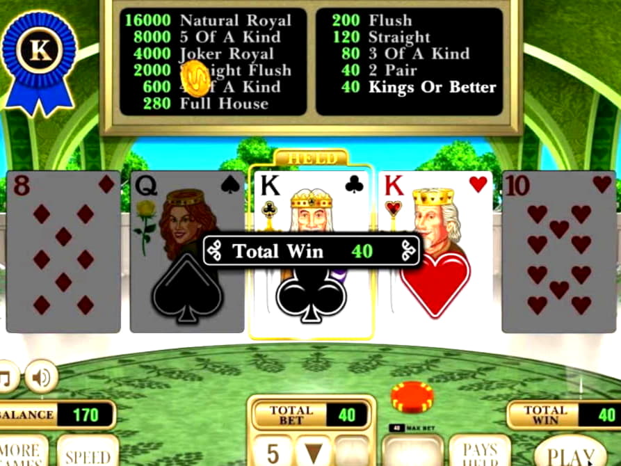 680% No Rules Bonus! at Rizk Casino